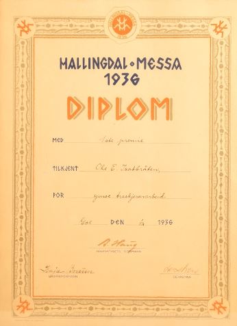 diplom-kaja-bruun