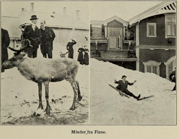 finse