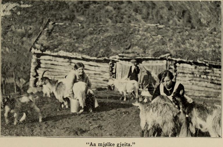 gjeita
