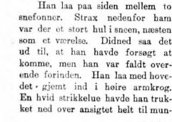 fjeldet 19