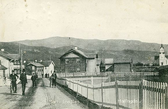 nesbyen 3