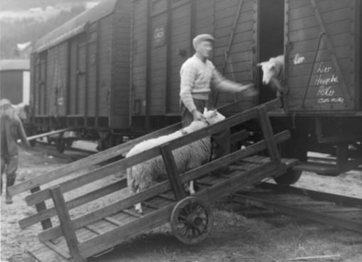 ål 48