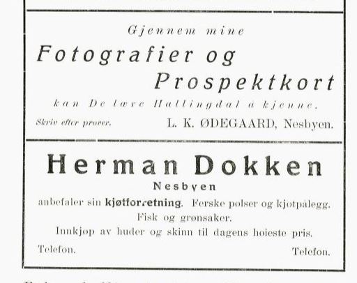 ødegaard og dokken