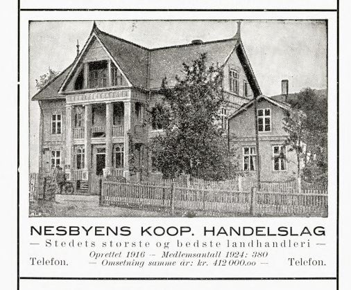 nesbyens handelslag