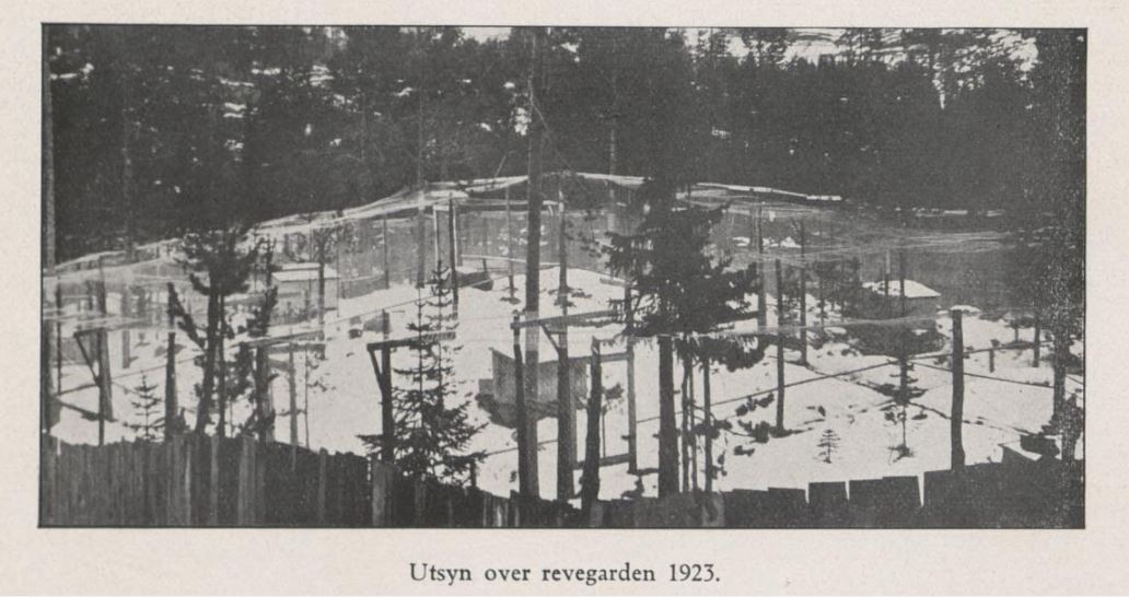 revegarden