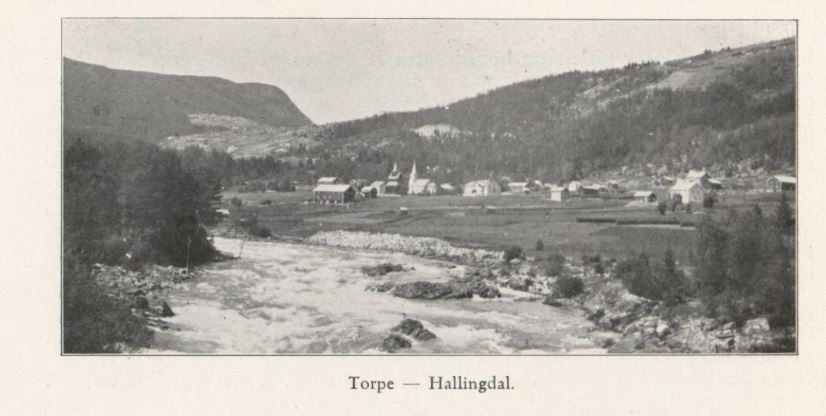 torpo