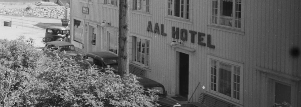 Forstørrede bilder fra&nbsp;Ål