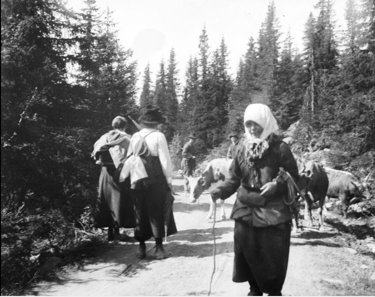 En del sjeldne bilder fra dalen i årene 1907-&nbsp;1908