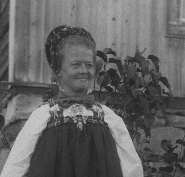 Svein Nestegards sak i Stortinget oktober 1924 mot umyndiggjøringen av døvstumme Kari O.&nbsp;Neraal