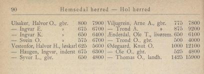 ligning hemsedal 3