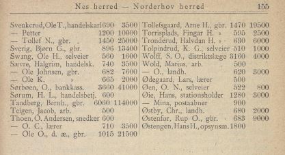 ligning nes og flå 5