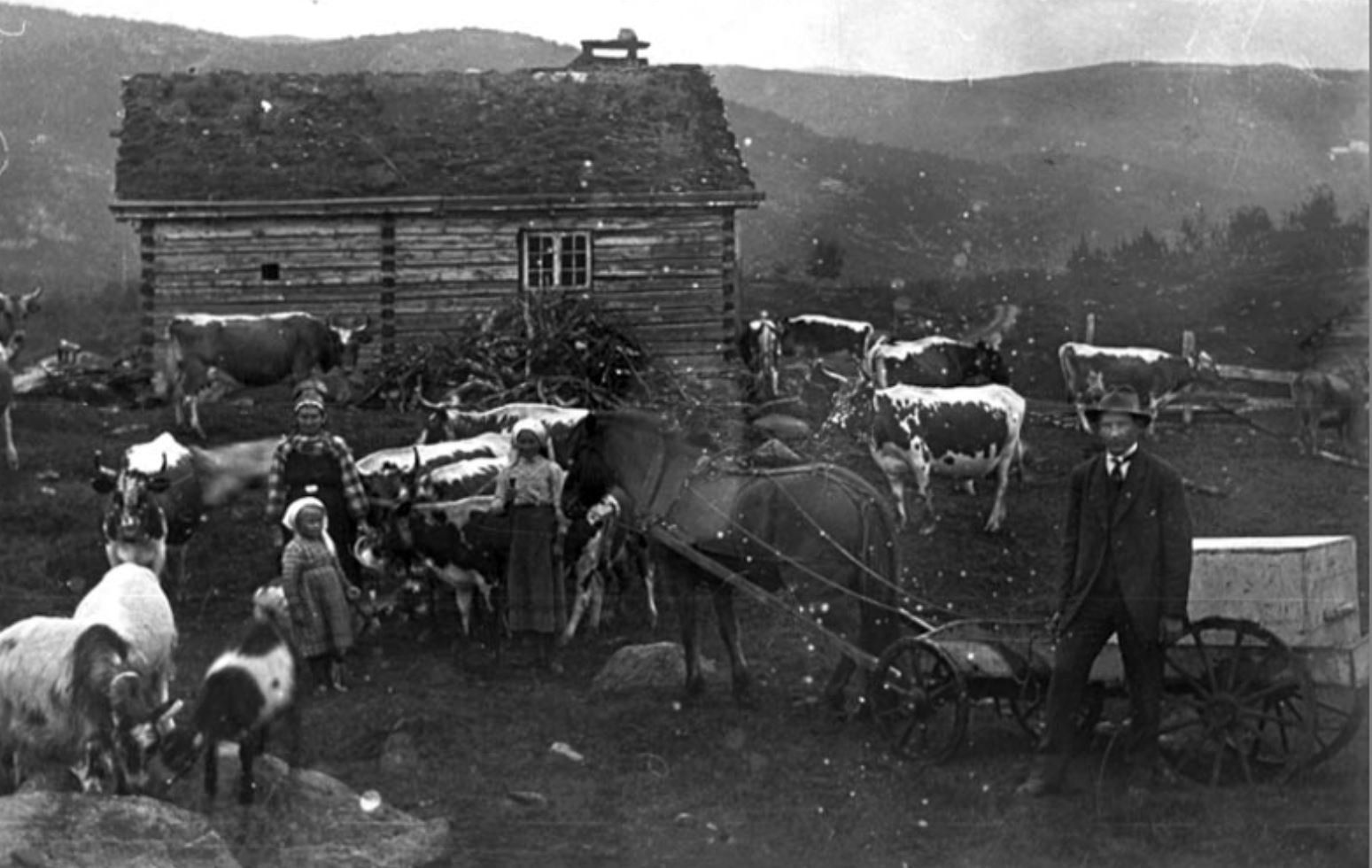 anne kleppo einset 1920-30 grøvo hol bygdearkiv